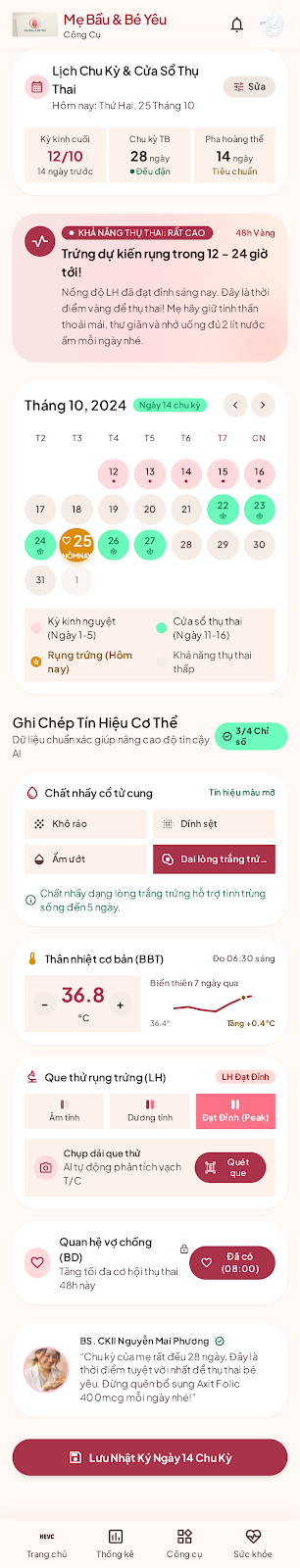 Giao diện thật: Chu kỳ rụng trứng và thụ thai